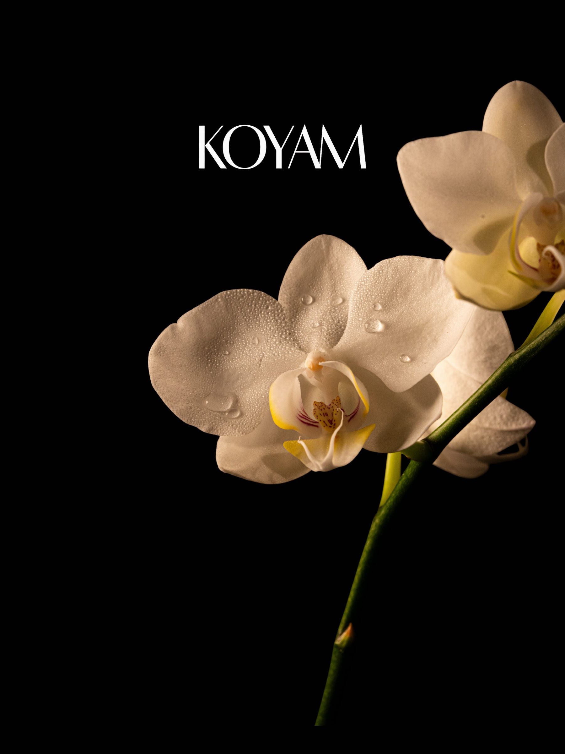 Full width image