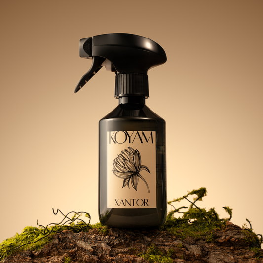 XANTOR - Fine Spray